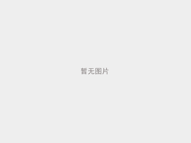 成功案例六